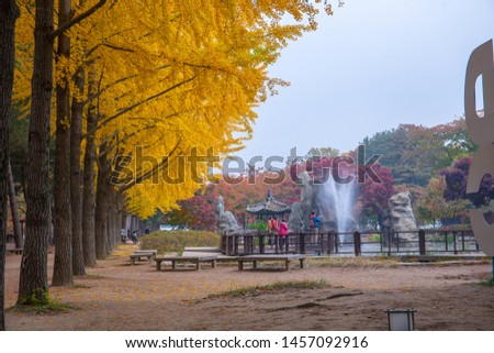 Autumn in South Korea and Ginkgo Tree at Nami Island Chunchon South Korea