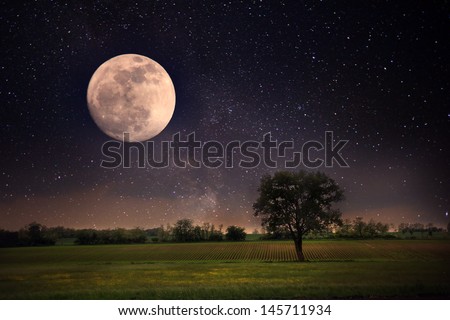 Lonely tree and moon