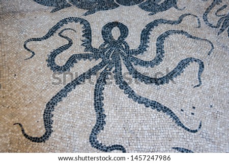 Mosaic depicting an octopus on the floor of the ruins of the baths in the ancient Roman city of Herculaneum (destroyed in 79 BC), Italy.
