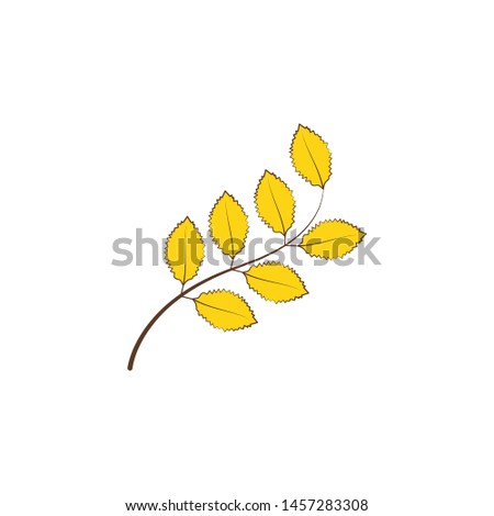 autumn yellow color leaf illustration