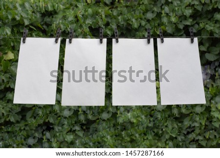 Mockup with four posters on a background of green foliage.