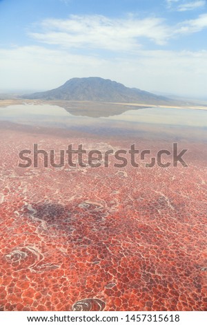 Aerial view of Lake Natron in the Great Rift Valley, on the border between Kenya and Tanzania. The Rift Valley contains a chain of volcanoes, some of still active, and many other lakes like the Magadi Royalty-Free Stock Photo #1457315618
