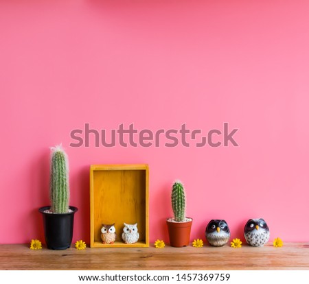 Beautiful  cactus,wooden  shelf  and  simulated  owl   on  wood  table  with  pink  background
