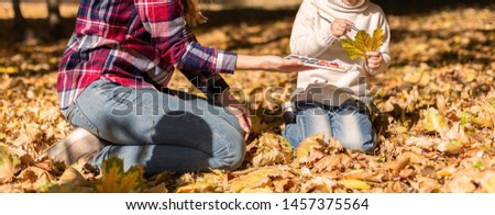 Cute little girl with her mother sitting and drawing with paint autumn leaves outside. Park and Autumn Leaves on a Background. Autumn season concept.