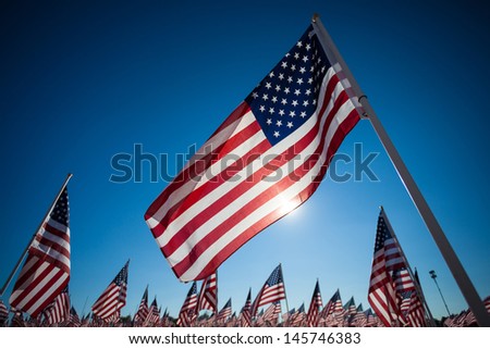 A display of many American flags with a sky blue background, commemorating 9/11, memorial day, or veterans day