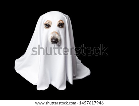 Ghost on black background. Halloween carnaval party