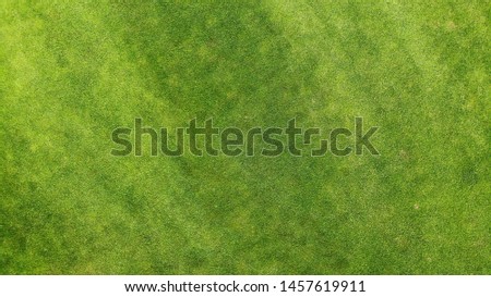 Aerial. Green grass texture background. Top view from drone. 