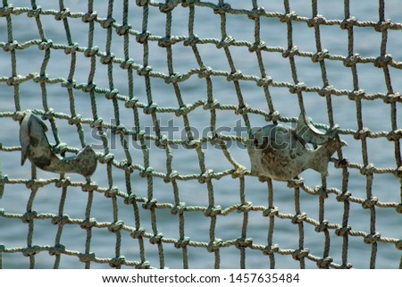 Iron fish in a net city Gandia-Mediterranean sea from Spain