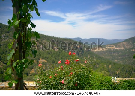 Beautiful sunset among the mountains of Spain, adorned in the foreground by a garden of red roses