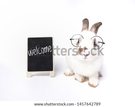 adorable brown bunny or rabbit wearing an eyesglasses, sitting next to small blackboard, isolated on white background. Cute rabbit and welcome sign.