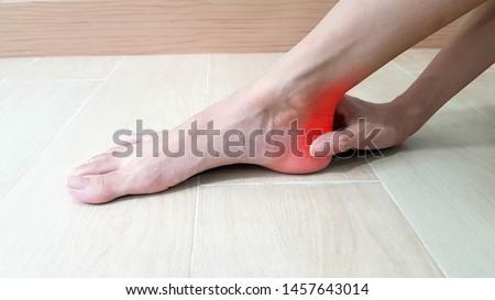 Foot anatomy with red highlight on painful area.  Ankle pain may cause from muscle strain, Achilles tendinitis, ligament sprain, arthritis, nerve entrapment, bursitis disease. Medical symptom concept Royalty-Free Stock Photo #1457643014
