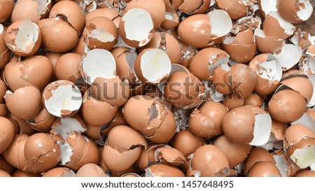 Top view(flat lay) of Egg shell pile on background view. Close up Group . Copy space. Cracked of Egg shell. 