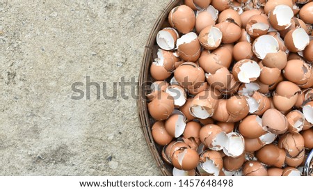 Top view and Close up of Egg shell in basket wooden on cement floor with copy space. Flat lay of creative design to cracked of Egg shell. Group.