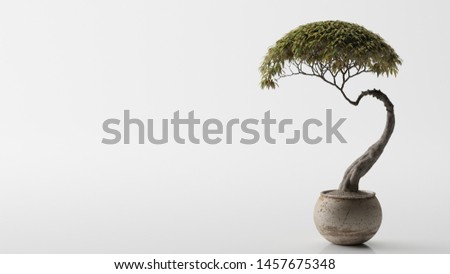 Bonsai on a white background Royalty-Free Stock Photo #1457675348