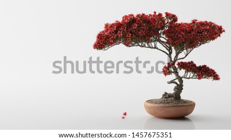 Red bonsai on a white background Royalty-Free Stock Photo #1457675351