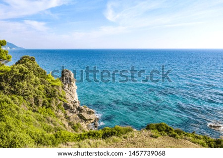 Aerial view of the beautiful seashore in summer. Rocks and trees in the sea seen from above.