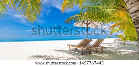 Beautiful tropical beach banner. White sand and coco palms travel tourism wide panorama background concept. Amazing beach landscape. Boost up color process. Luxury island resort vacation or holiday