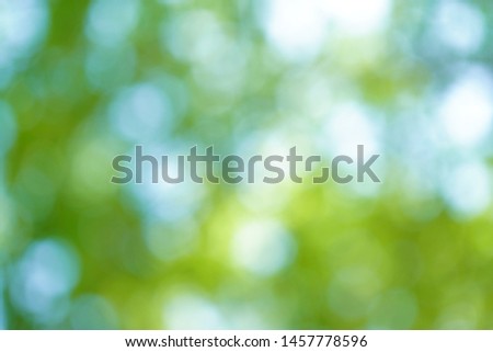 green tree nature bokeh abstract background. 
