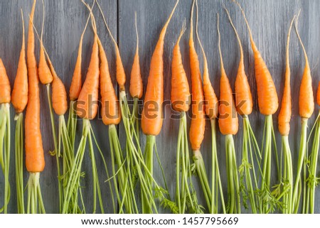 orange carrots on a blue background , top view