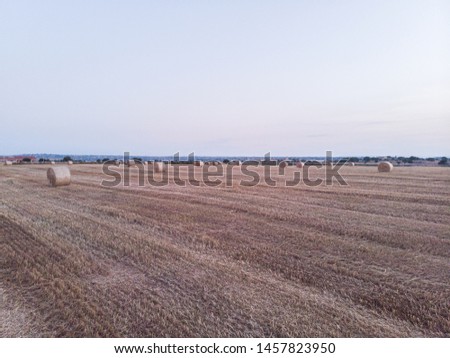 Aerial view of a field full of wheat bales. The shot is taken in a field in the southern Sicily, at sunrise. Sicily, Italy