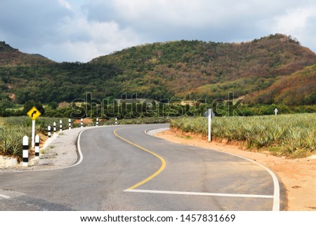 Hilly road with mountain and blue sky in background, Farmland roads with Pineapple plantation, Southeast Asia, Thaila