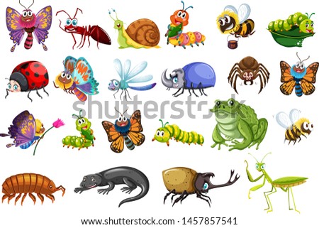 Set of insects including butterflies, ants, beetles, lizards, frogs and bees illustration