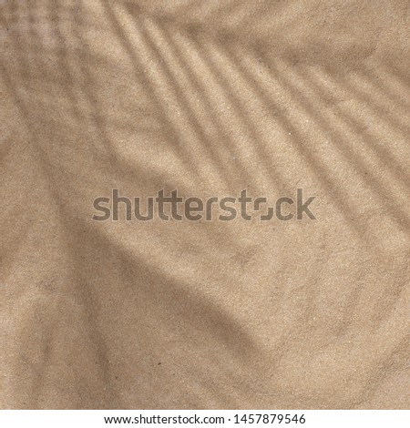 Summer beach day scene with tropical palm leaves shadow on sand background. Minimal sunlight tropical flat lay arrangement.