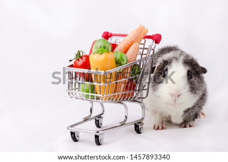 Cute guinea pig with shopping cart full of vegetables on white backround fabric.