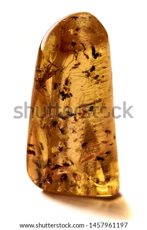 A vertical picture of a piece of amber with a cricket, ants and mosquitos isolated on white background.