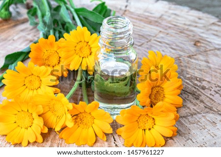 Bottle of calendula oil on a wooden background. Extract of tincture of calendula. Medicinal plants.