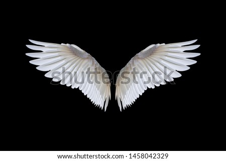 White angel wings isolated on a black background.clipping path Royalty-Free Stock Photo #1458042329