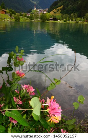 the beautiful lake of Lappago with flowers on foreground, Val Pusteria south tyrol (BZ) Italy