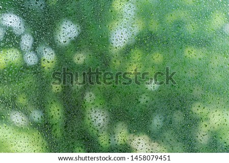 Raindrop on glasses window with blurred green trees background. Abstract background.