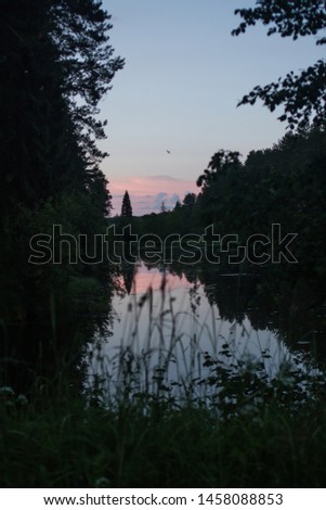 summer sunset on the shore of a forest lake in Central Russia