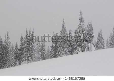 Panoramic view of the picturesque snowy winter landscape.