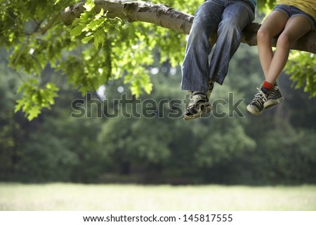 Low section of little boy and girl relaxing on tree branch Royalty-Free Stock Photo #145817555