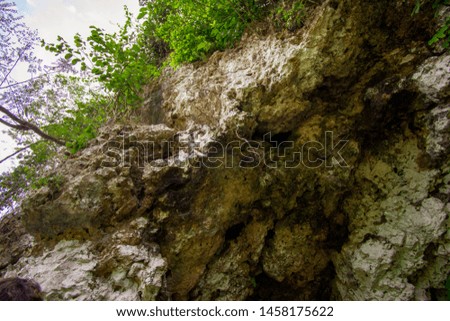 Beautiful scenery of the cave wall and plant location in East Java Indonesia