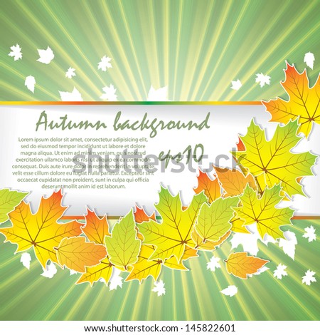 Autumn background with leaves eps10