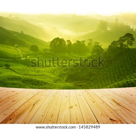 Wood platform beside tea plantation in  morning view, cameron highland malaysia Royalty-Free Stock Photo #145829489