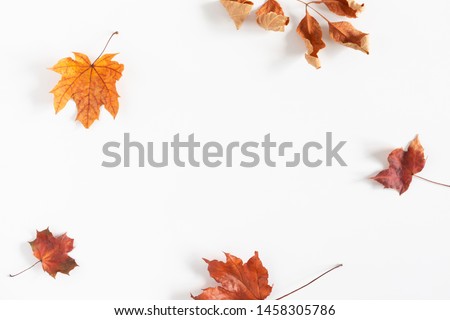 Autumn creative composition. Dried leaves on white background. Fall concept. Autumn background. Flat lay, top view, copy space Royalty-Free Stock Photo #1458305786