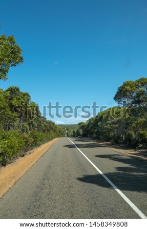 Quiet road through trees across Kangaroo Island with no other vehicles in sight.  Paved road leads eye to horizon where it vanishes.