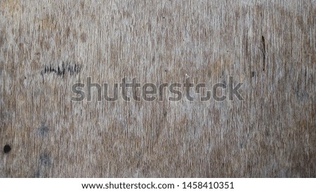 Wood pattern texture, close up of surface wood texture background.