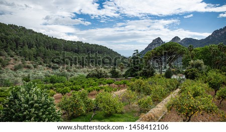 Alfabia Gardens park on Tramuntana mountain, Mallorca, Balearic Islands, Spain