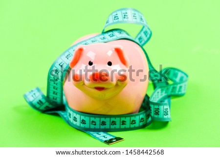 financial support. loan concept. Take credit. money diet. finance and commerce. piggy bank with measurement tape. Moneybox. low pay. Saving money. Deposit. Economy and budget increase.