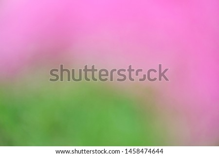 Pink and green blurred blossom abstract background, Pink bokeh background