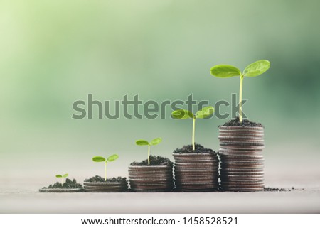 Money coin stack growing graph with green bokeh background,investment concept.tree growing on coin,Business Finance and Save Money concept
