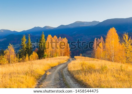 Amazing autumn landscape with country road. Colorful evening scene in Carpathian Mountains. Ukraine, Europe. Beauty world.