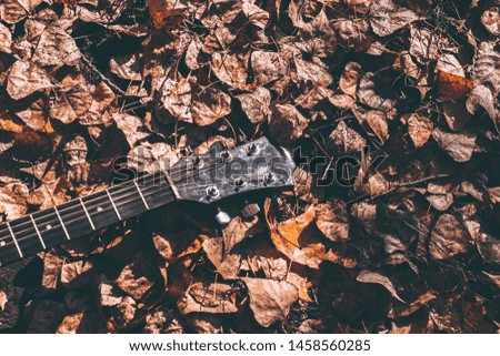 Acoustic guitar lying on the ground on red leaves in autumn
