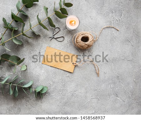 Eucalyptus branches and leaves on a grey concrete background
