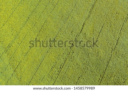 Summer landscape with sunflowers. Beautiful sunflower field, aerial view. Rural landscape. Nature background.
